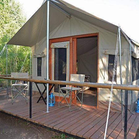 The Wild Olive Tree Camp Hotel Welverdiend  Kamer foto