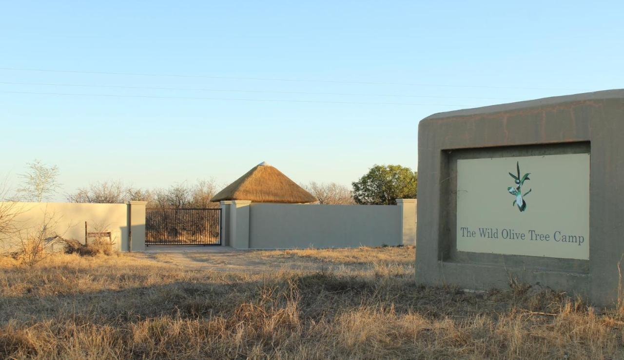The Wild Olive Tree Camp Hotel Welverdiend  Buitenkant foto